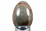 Colorful Polished Petrified Wood Egg - Arizona #309034-1